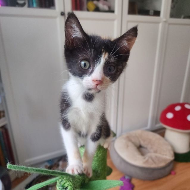 Photo of Miss Honey 🍯 