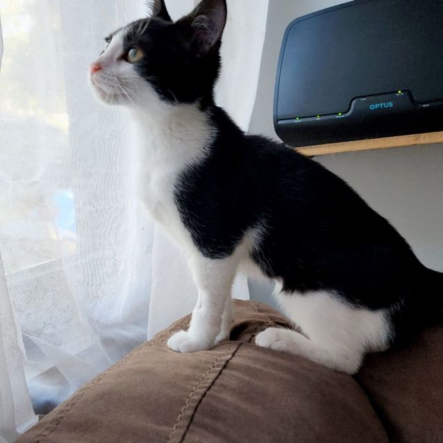 Photo of Sophie