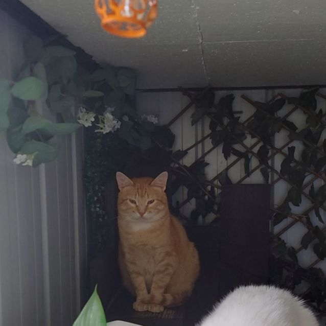 Photo of Hank❤️‍🔥