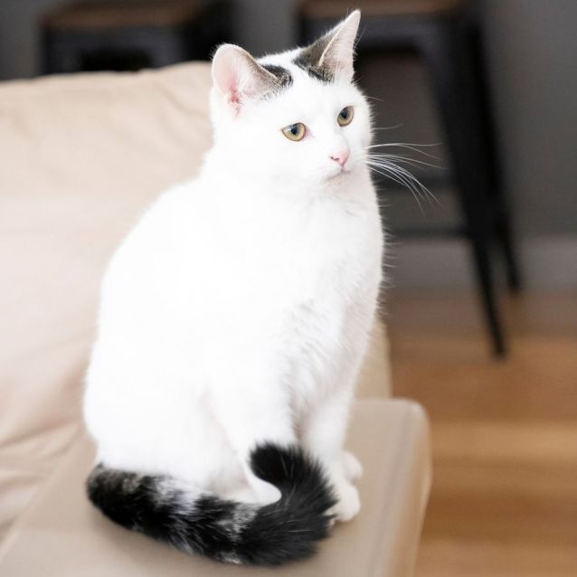 Photo of 💜 Calvin 💜