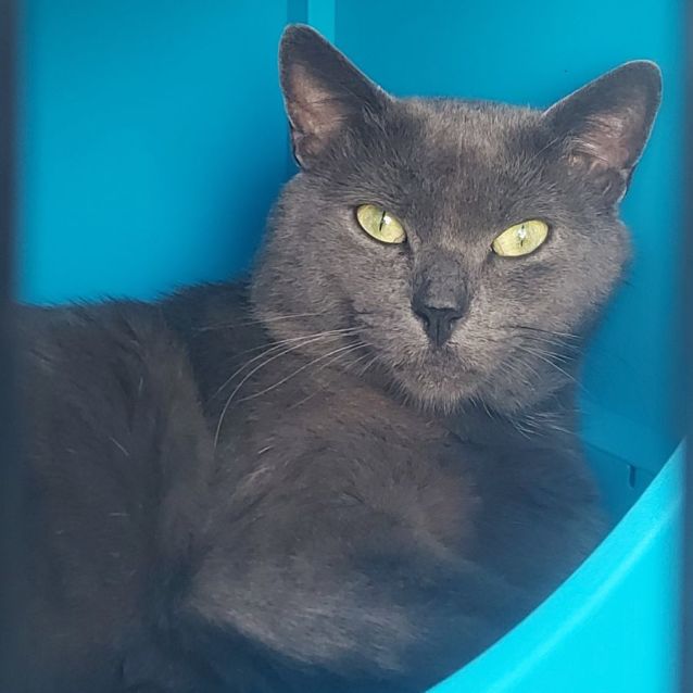 Photo of Charles 👑