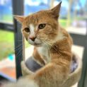 Photo of 😸Barry F02556😸