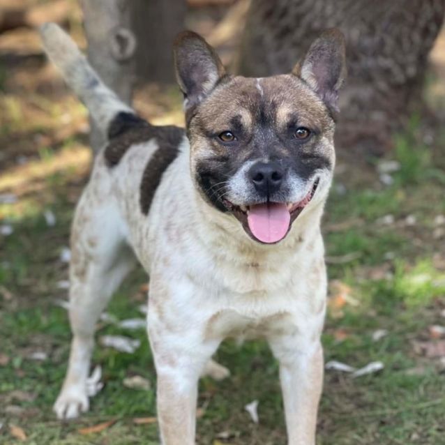 Photo of Chase