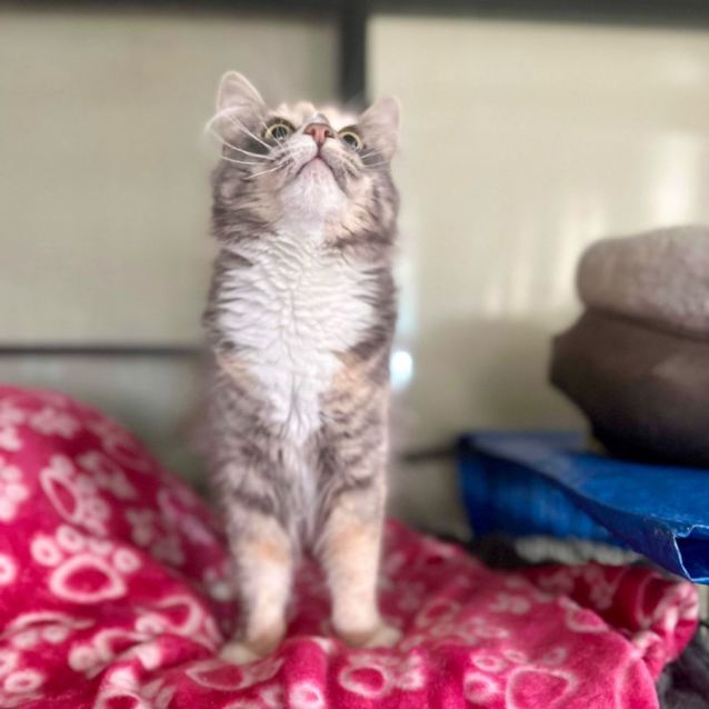 Photo of Gigi