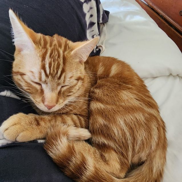 Photo of Oj And Ruben