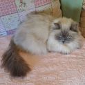 Photo of Milly
