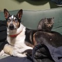 Photo of Kiki