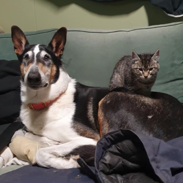 Photo of Kiki