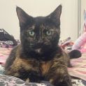 Photo of Jaffa