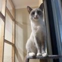 Photo of Tinkerbell