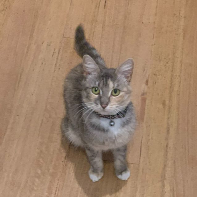 Photo of Loralie & Blossom 🌸🌼