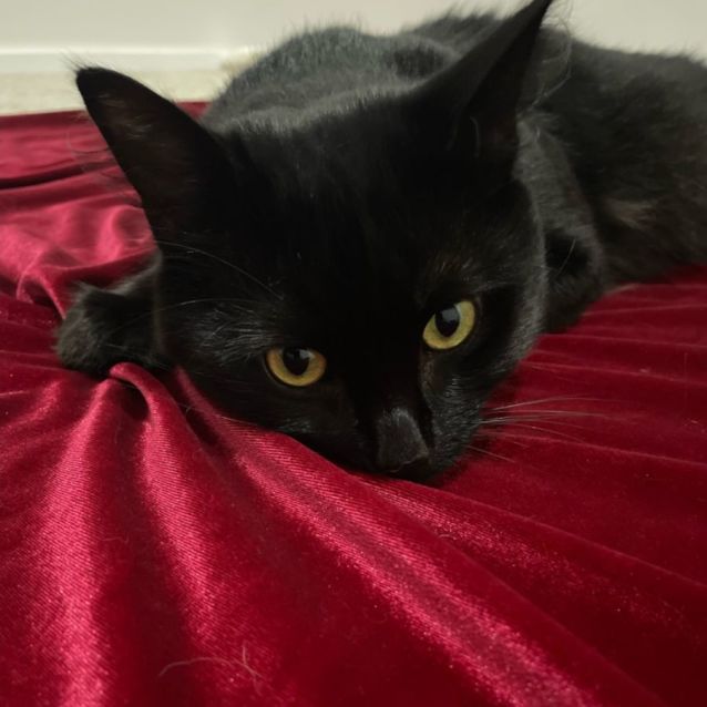 Photo of Anakin