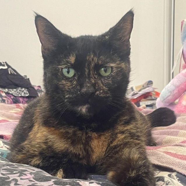 Photo of Jaffa