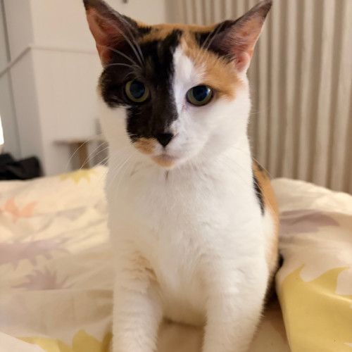 No photo for Rosie