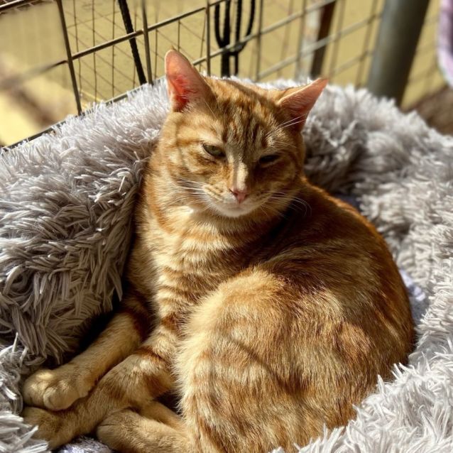 Photo of Gary   Your Best Friend 