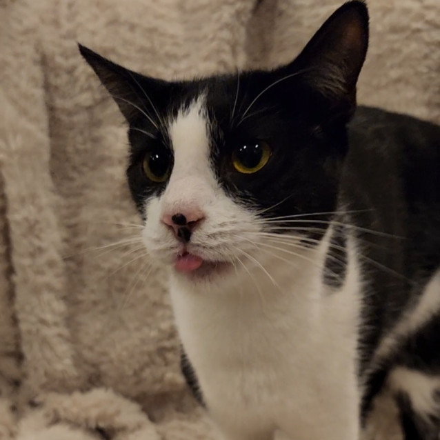 Photo of Roxy 