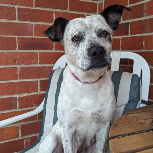 Photo of Princess Sparkles