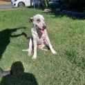 Photo of Arthur