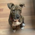 Photo of Gus