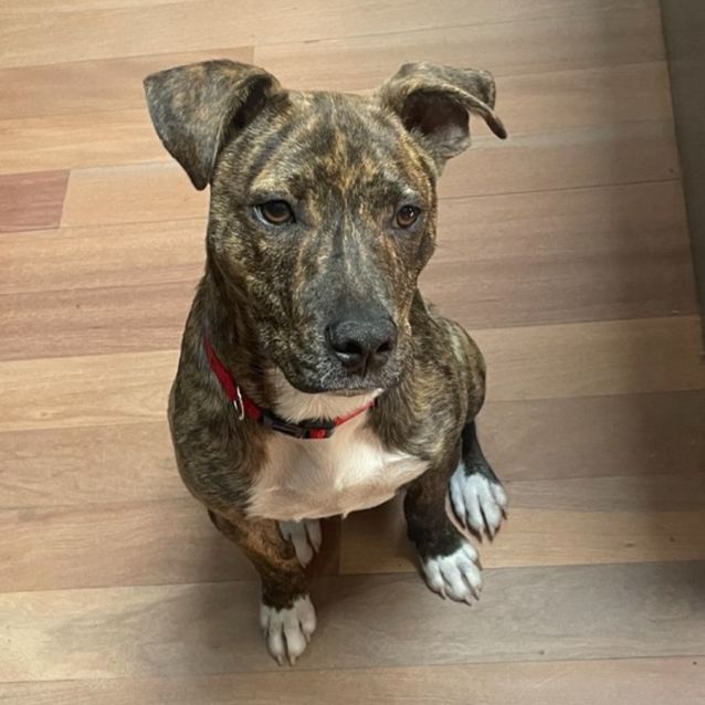 Photo of Gus