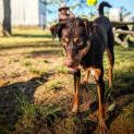 Photo of Tilly
