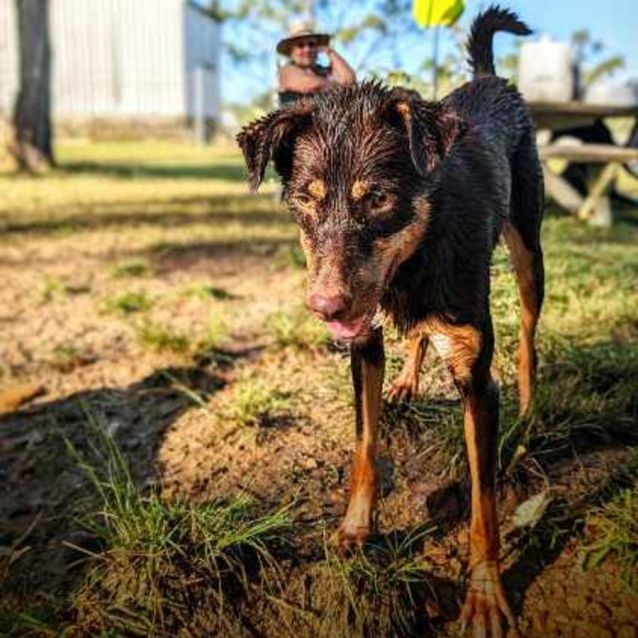 Photo of Tilly