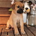 Photo of Winnie