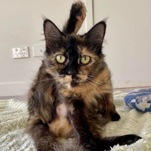 Photo of Tui (Located In Docklands)