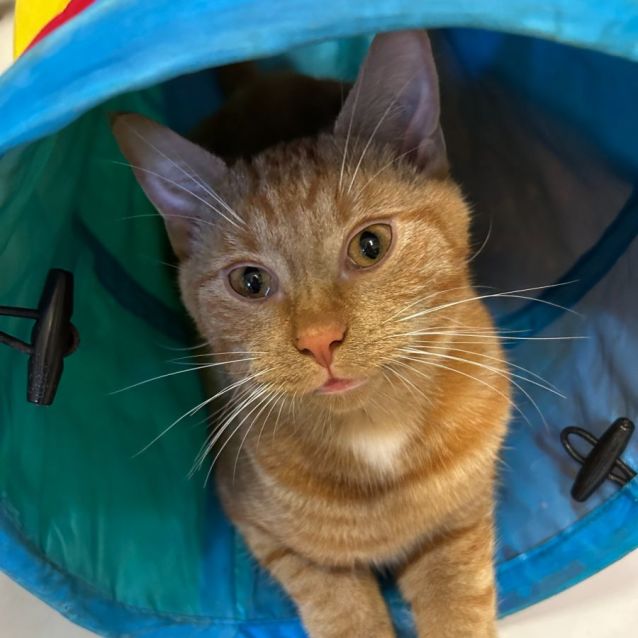 Photo of Jobe And Jimbo