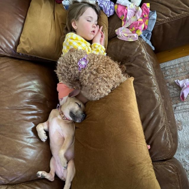 Photo of Pancake! 🥞😋 