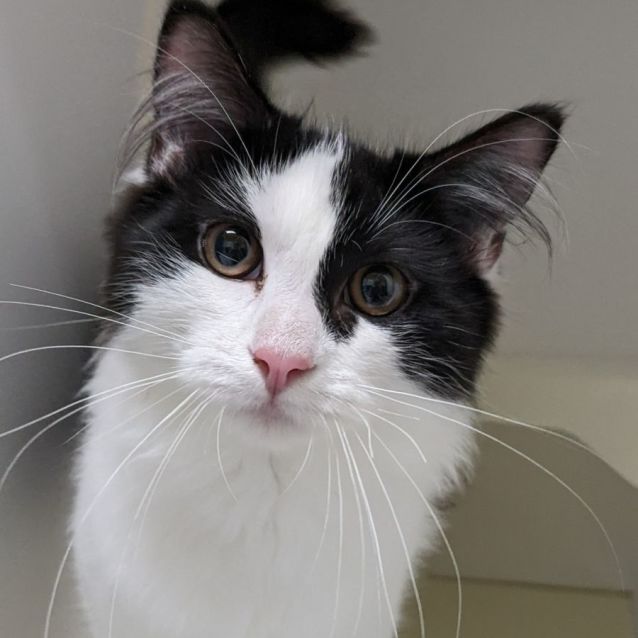 Photo of 🤖 Spencer F02845 🤖