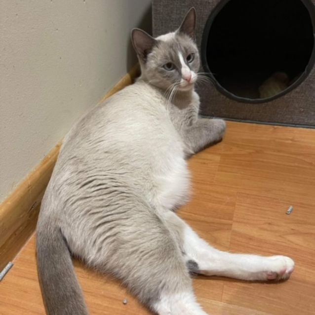 Photo of Tinkerbell