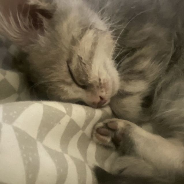 Photo of Gary