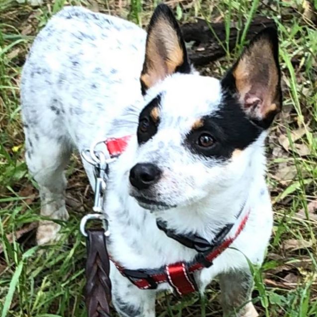 Photo of Mollie