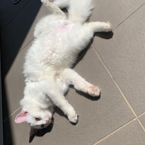 Casper