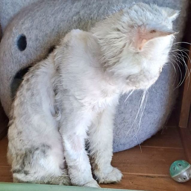 Photo of Jack