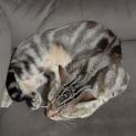 Photo of Tierra