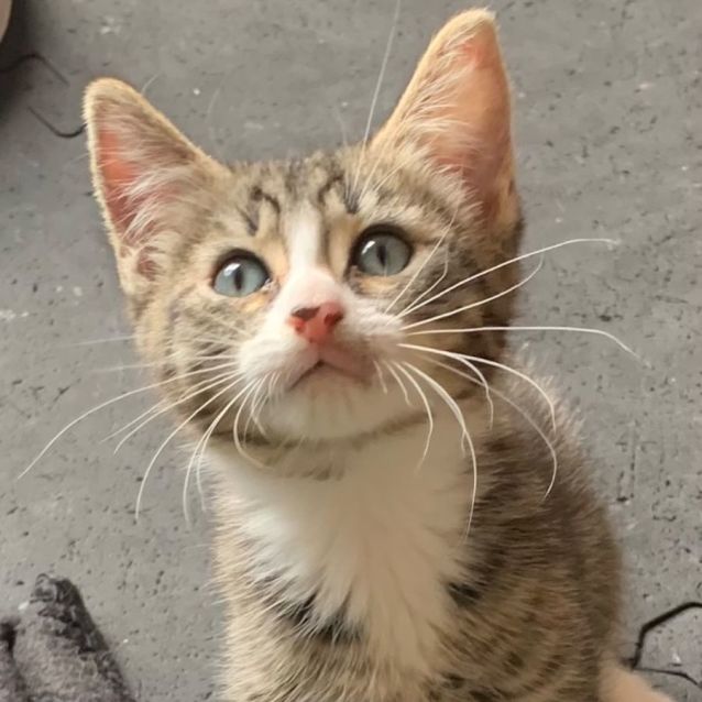 Photo of Ted🧸💙🧸