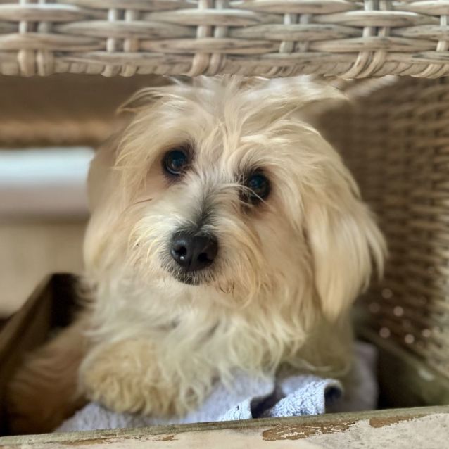 Photo of Kramer   Moodle