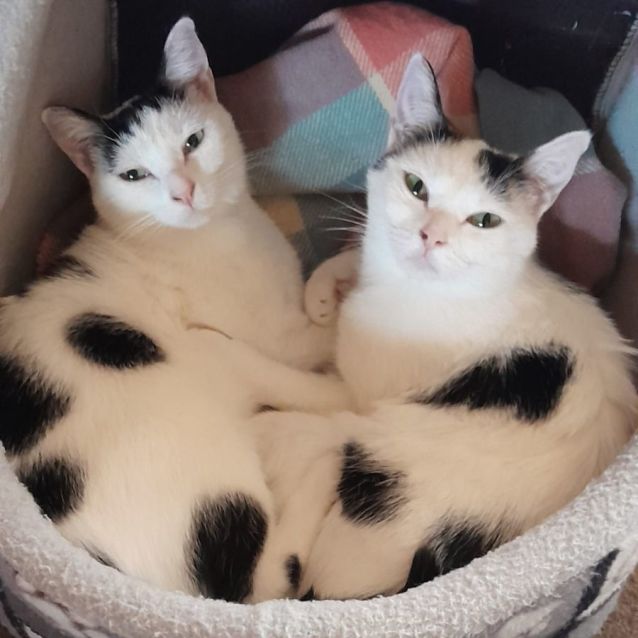 Photo of Felicity And Renee