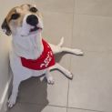 Photo of Ontari