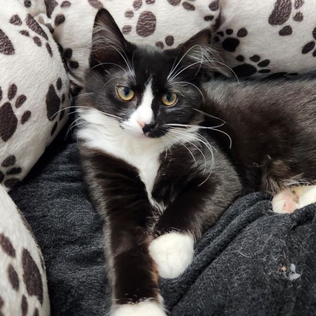 Photo of 🌺 Molly F02754 🌺