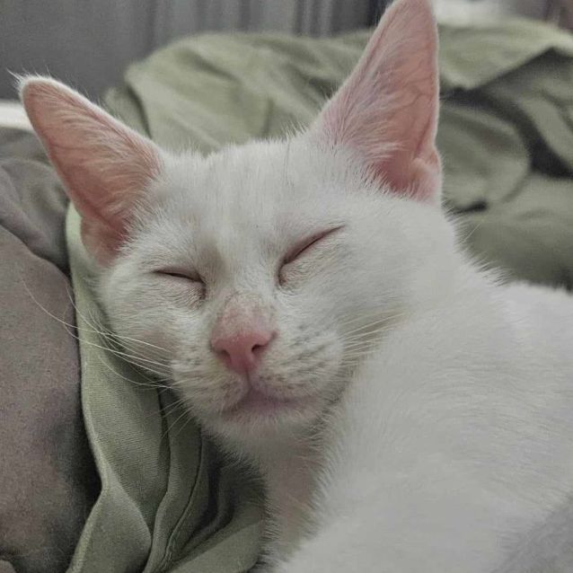 Photo of Princess Catherine