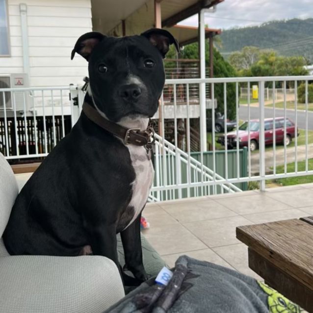 Photo of Max