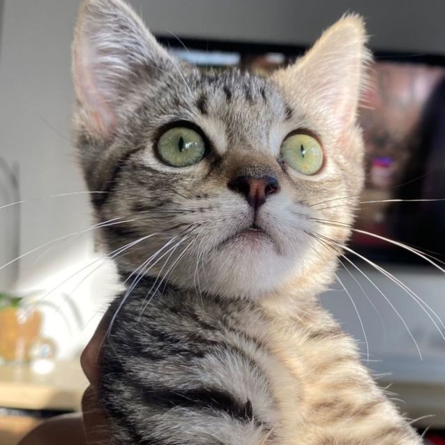 Photo of Mimi