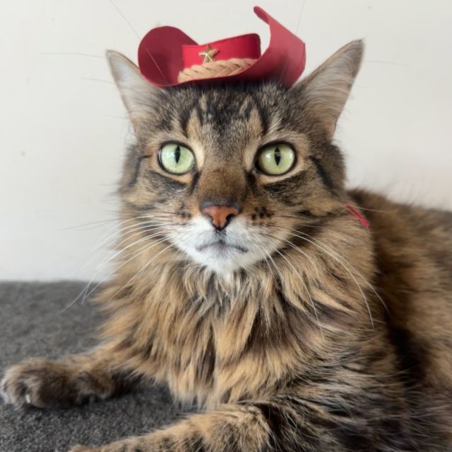 Photo of Jackie Steele 🤠🌵🐴