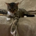 Photo of Lil Munchie 