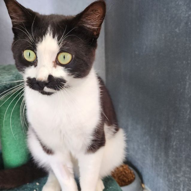 Photo of Woody And Buzz