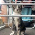 Photo of Twix