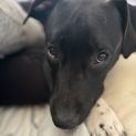 Photo of Snugglebum
